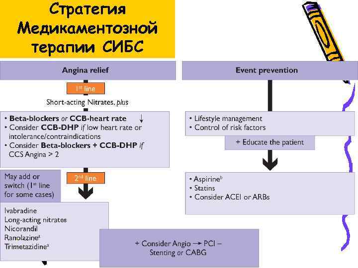 Стратегия Медикаментозной терапии СИБС 