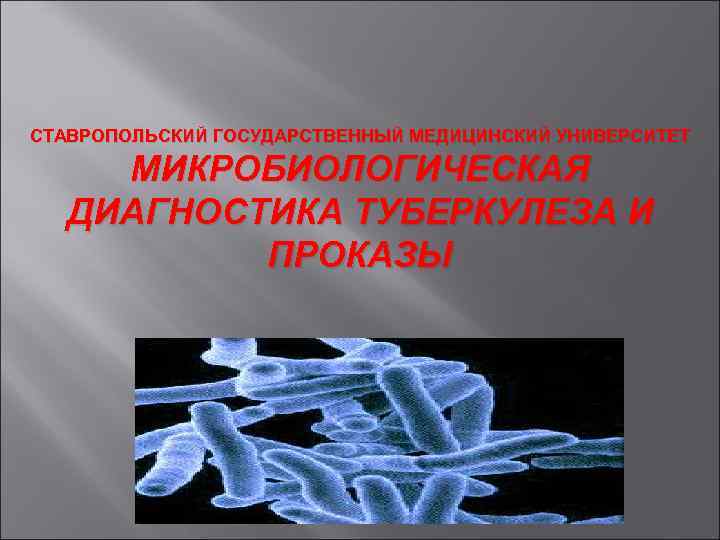 СТАВРОПОЛЬСКИЙ ГОСУДАРСТВЕННЫЙ МЕДИЦИНСКИЙ УНИВЕРСИТЕТ МИКРОБИОЛОГИЧЕСКАЯ ДИАГНОСТИКА ТУБЕРКУЛЕЗА И ПРОКАЗЫ 