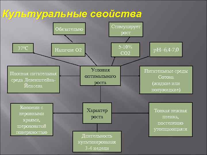 Культуральные свойства Обязательно 37⁰С Стимулирует рост Наличие О 2 5 -10% СО 2 Плотная