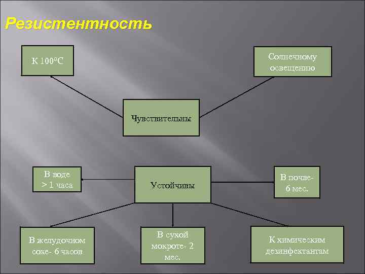 Резистентность Солнечному освещению К 100⁰С Чувствительны В воде > 1 часа В желудочном соке-