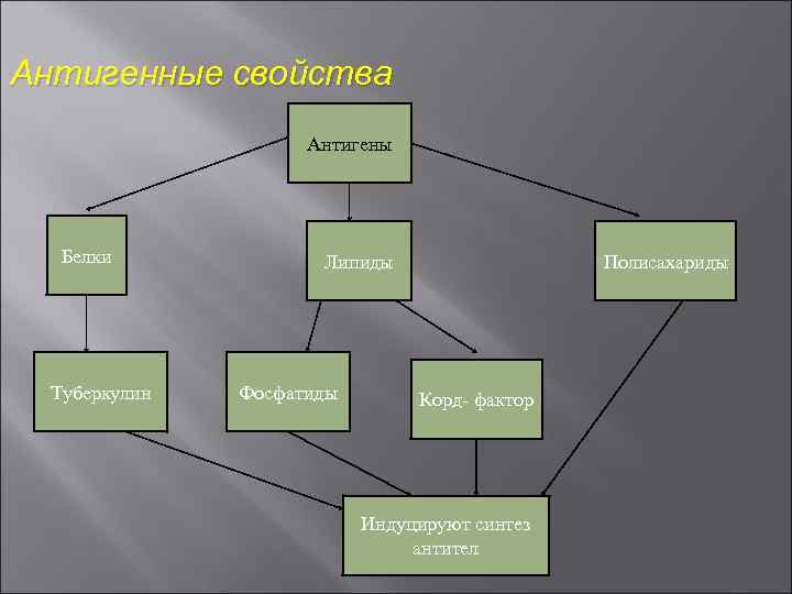 Антигенные свойства Антигены Белки Туберкулин Липиды Фосфатиды Полисахариды Корд- фактор Индуцируют синтез антител 