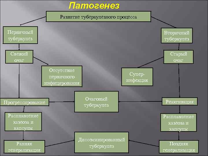 Патогенез Развитие туберкулезного процесса Первичный туберкулез Вторичный туберкулез Старый очаг Свежий очаг Отсутствие первичного
