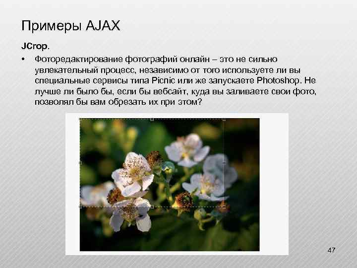 Примеры AJAX JCrop. • Фоторедактирование фотографий онлайн – это не сильно увлекательный процесс, независимо