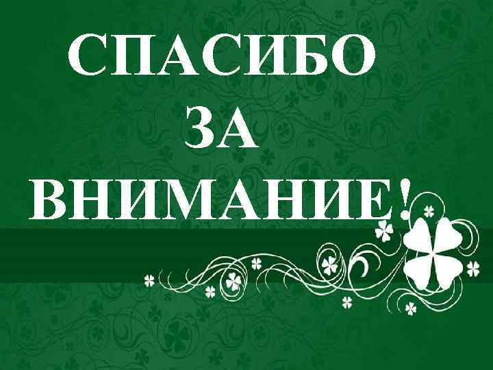 СПАСИБО ЗА ВНИМАНИЕ! 