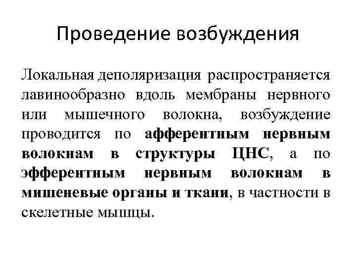 Проведение возбуждения Локальная деполяризация распространяется лавинообразно вдоль мембраны нервного или мышечного волокна, возбуждение проводится