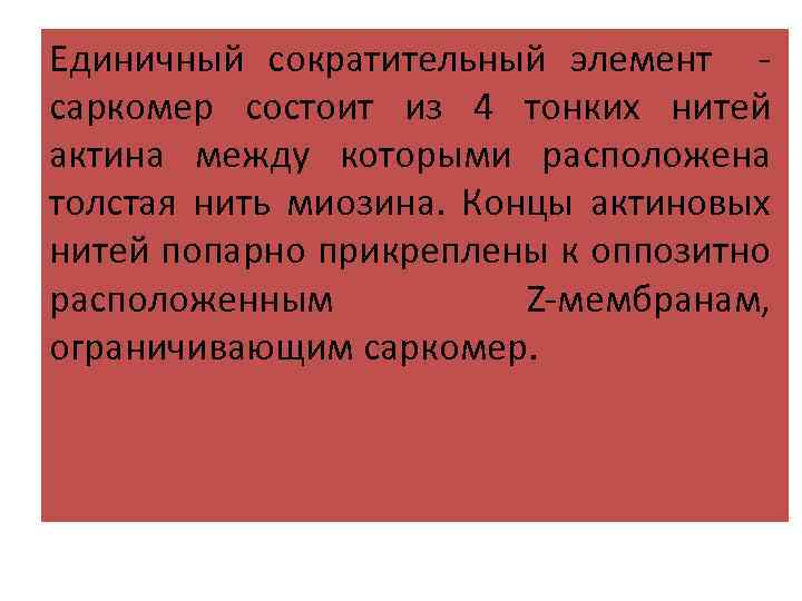 Единичный сократительный элемент саркомер состоит из 4 тонких нитей актина между которыми расположена толстая