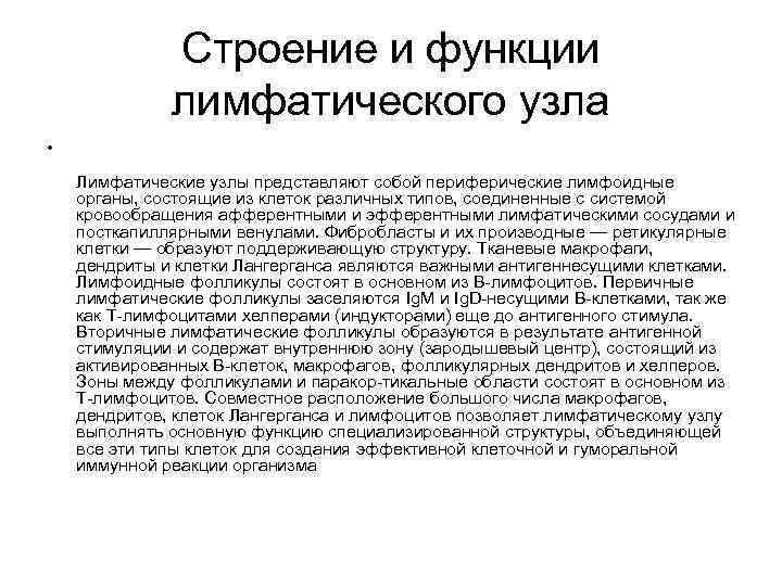 Строение и функции лимфатического узла • Лимфатические узлы представляют собой периферические лимфоидные органы, состоящие