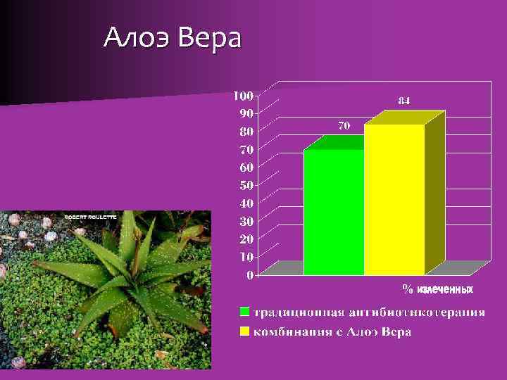 Алоэ Вера % излеченных 