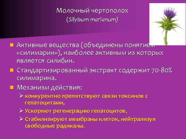 Молочный чертополох (Silybum marianum) Активные вещества (объединены понятием «силимарин» ), наиболее активным из которых