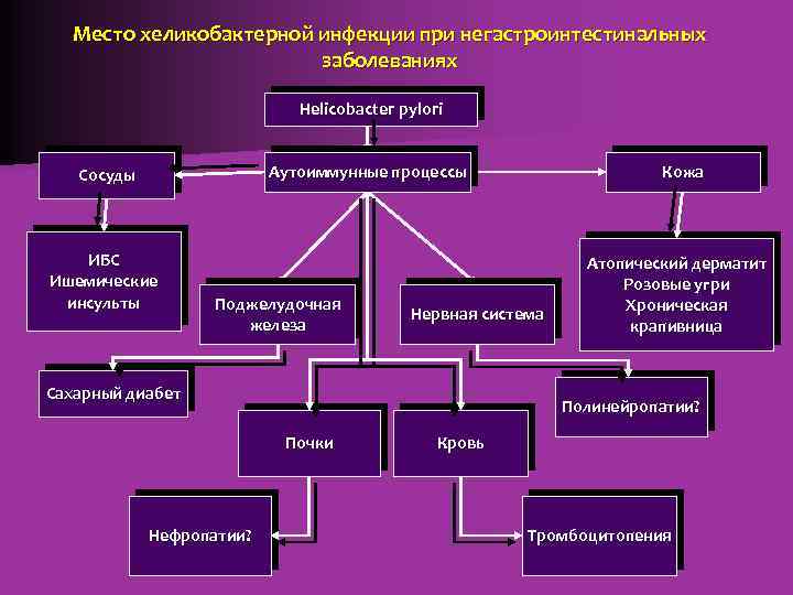 Место хеликобактерной инфекции при негастроинтестинальных заболеваниях Helicobacter pylori Аутоиммунные процессы Сосуды ИБС Ишемические инсульты