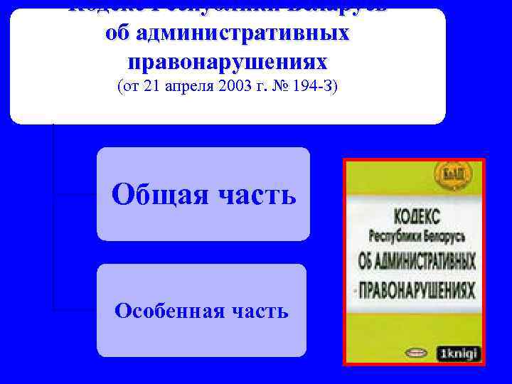 Кодекс Республики Беларусь об административных правонарушениях (от 21 апреля 2003 г. № 194 -З)