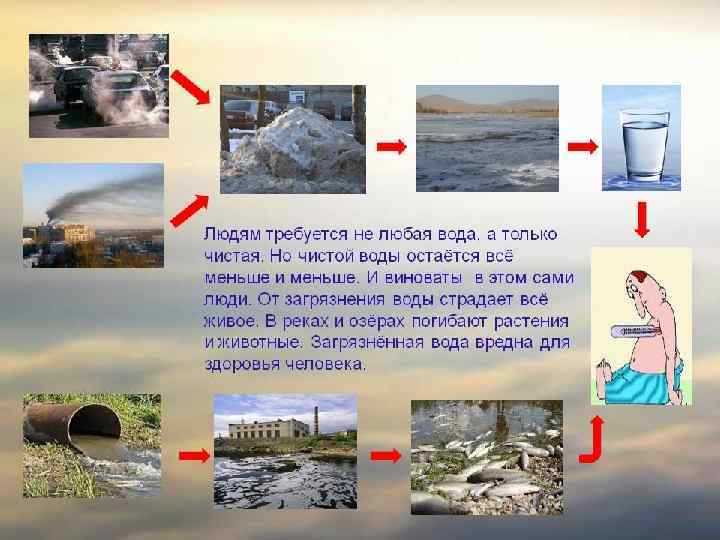 Вода в жизни человека 