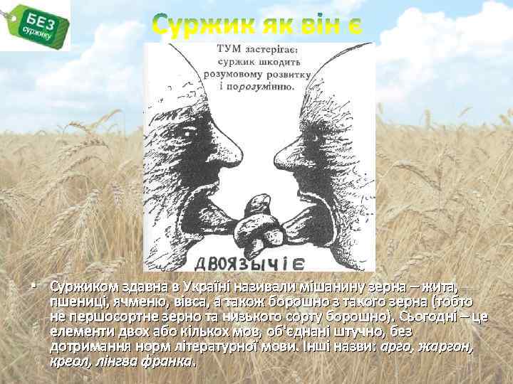  • Суржиком здавна в Україні називали мішанину зерна – жита, пшениці, ячменю, вівса,