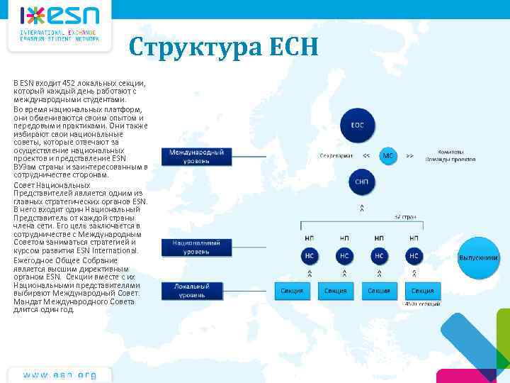 Структура ЕСН В ESN входит 452 локальных секции, который каждый день работают с международными