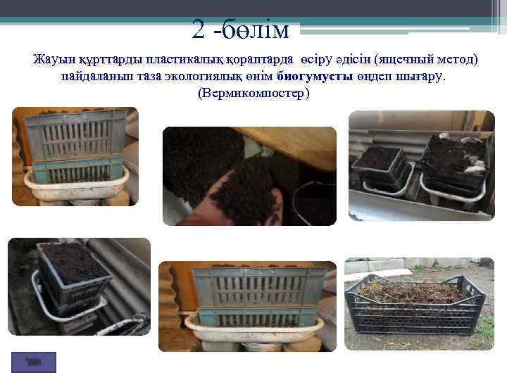 2 -бөлім Жауын құрттарды пластикалық қораптарда өсіру әдісін (ящечный метод) пайдаланып таза экологиялық өнім