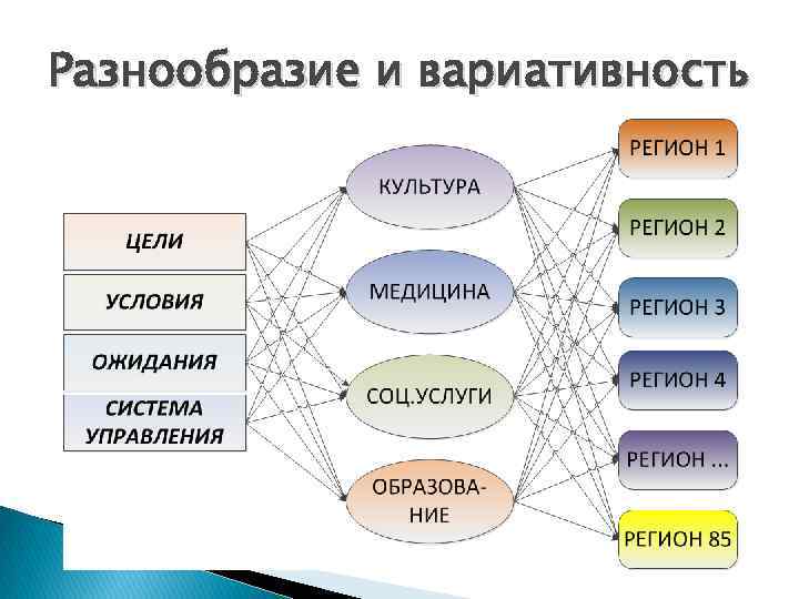 Разнообразие и вариативность 