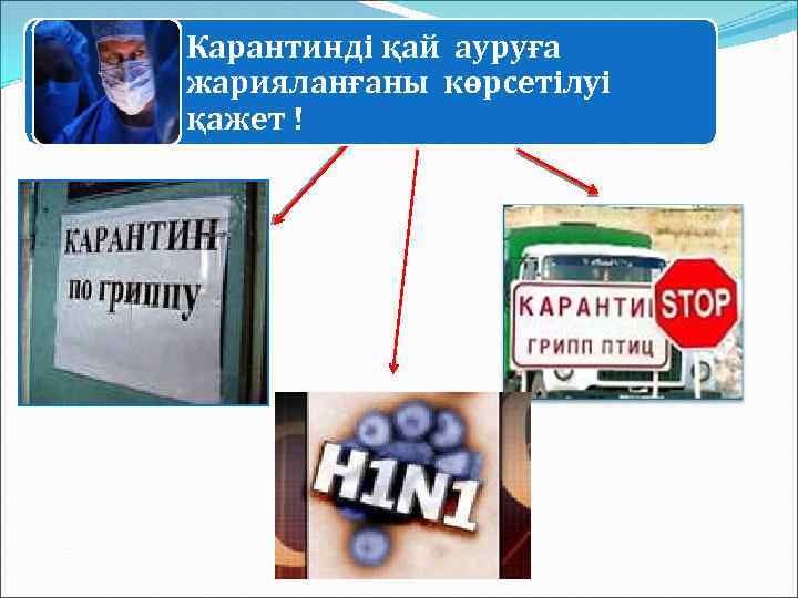 Карантинді қай ауруға жарияланғаны көрсетілуі қажет ! 