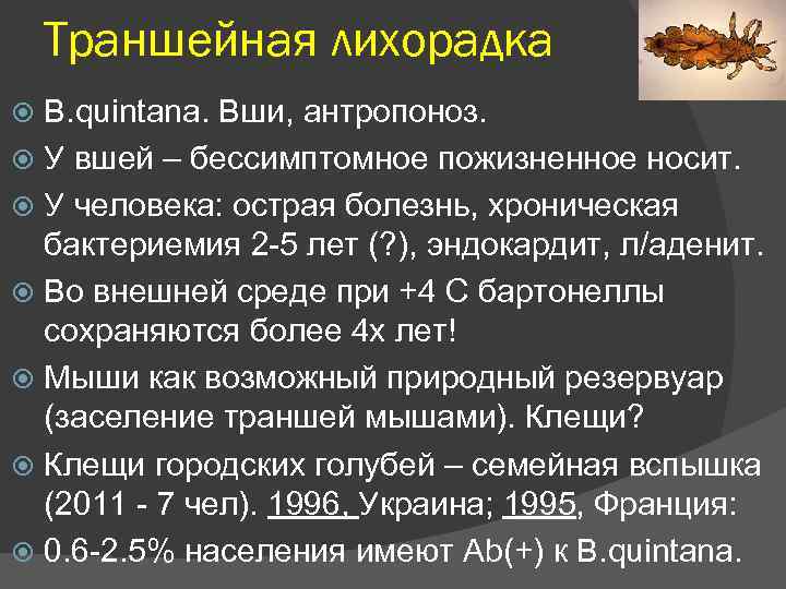 Траншейная лихорадка B. quintana. Вши, антропоноз. У вшей – бессимптомное пожизненное носит. У человека: