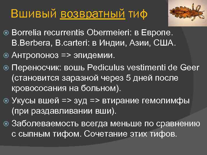 Вшивый возвратный тиф Borrelia recurrentis Obermeieri: в Европе. B. Berbera, B. carteri: в Индии,