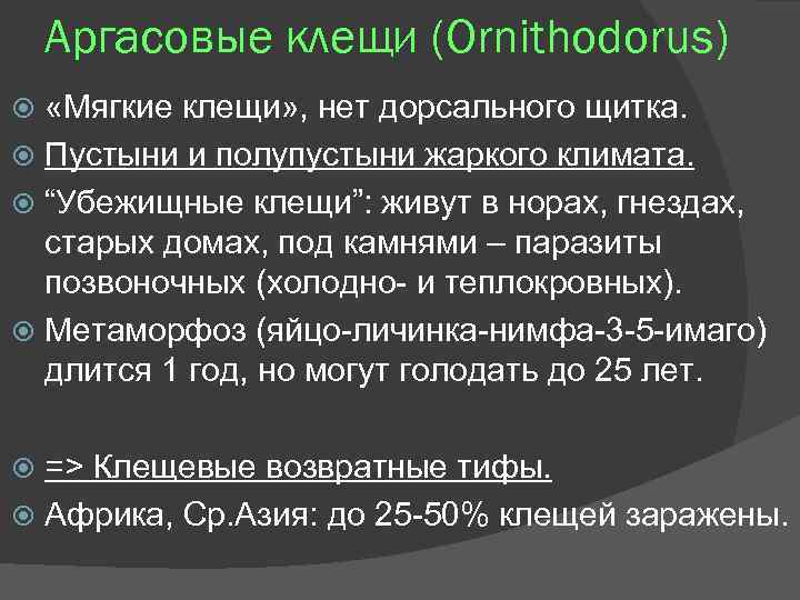Аргасовые клещи (Ornithodorus) «Мягкие клещи» , нет дорсального щитка. Пустыни и полупустыни жаркого климата.
