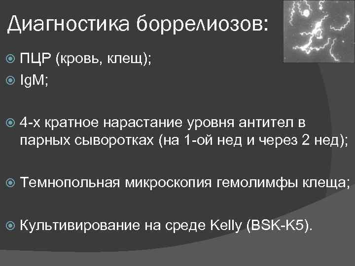 Диагностика боррелиозов: ПЦР (кровь, клещ); Ig. M; 4 -х кратное нарастание уровня антител в