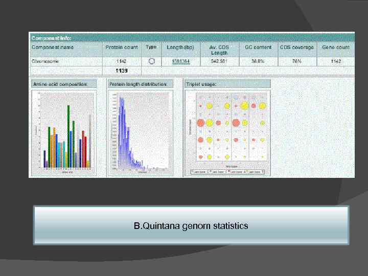 B. Quintana genom statistics 