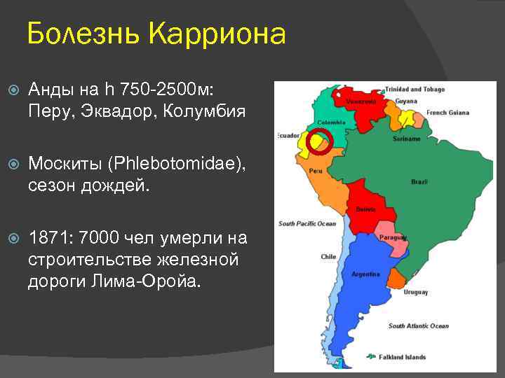 Болезнь Карриона Анды на h 750 -2500 м: Перу, Эквадор, Колумбия Москиты (Phlebotomidae), сезон