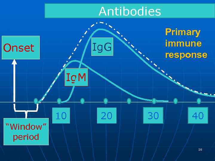 Antibodies Primary immune response Ig. G Onset Ig. M 10 20 30 40 “Window”