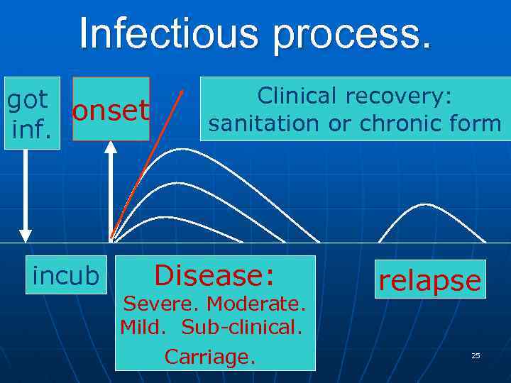 Infectious process. got onset inf. incub Clinical recovery: sanitation or chronic form Disease: Severe.