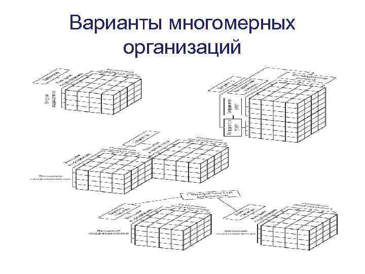 Варианты многомерных организаций 