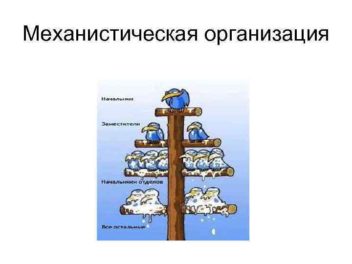 Механистическая организация 