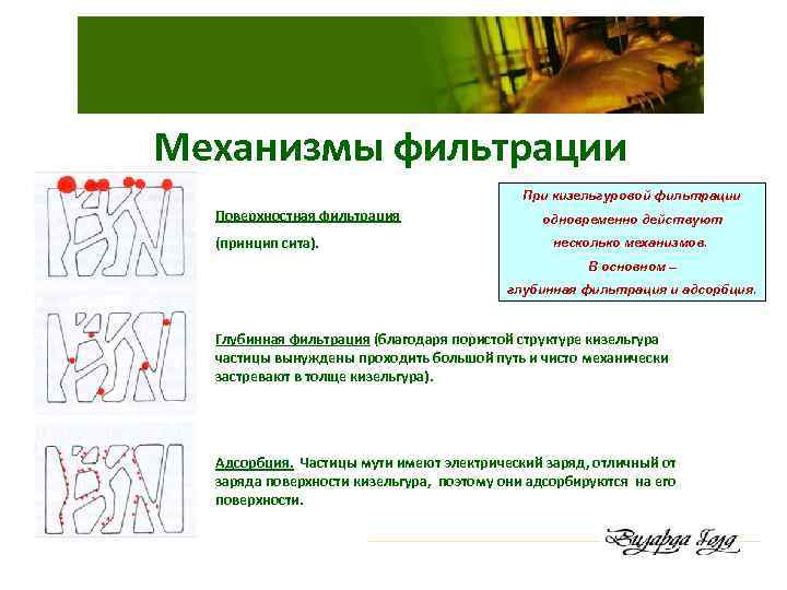 Механизмы фильтрации При кизельгуровой фильтрации Поверхностная фильтрация (принцип сита). одновременно действуют несколько механизмов. В