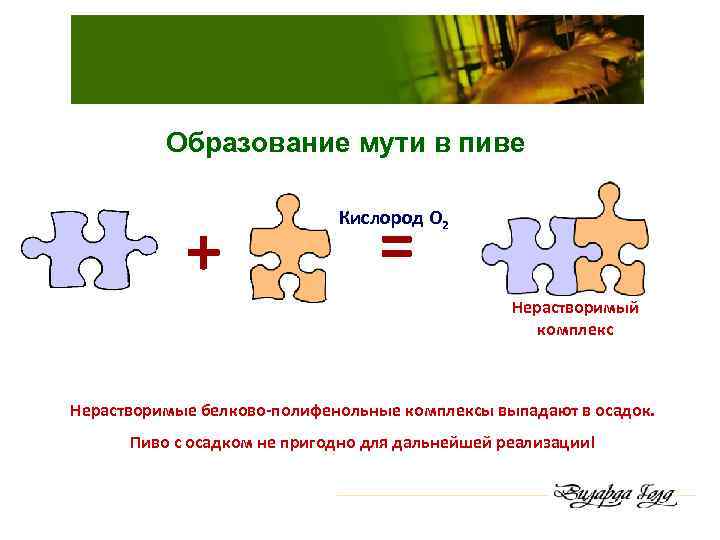 Образование мути в пиве + = Кислород О 2 Нерастворимый комплекс Нерастворимые белково-полифенольные комплексы