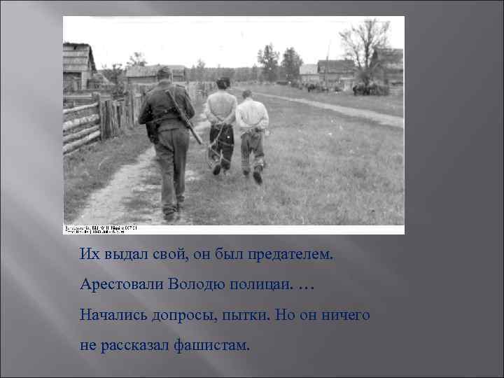Их выдал свой, он был предателем. Арестовали Володю полицаи. … Начались допросы, пытки. Но