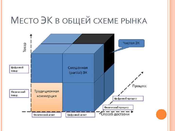 МЕСТО ЭК В ОБЩЕЙ СХЕМЕ РЫНКА 