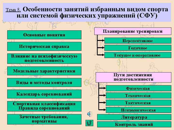 Особенности занятий избранным видом спорта или системой физических упражнений (СФУ) Тема 8. Основные понятия