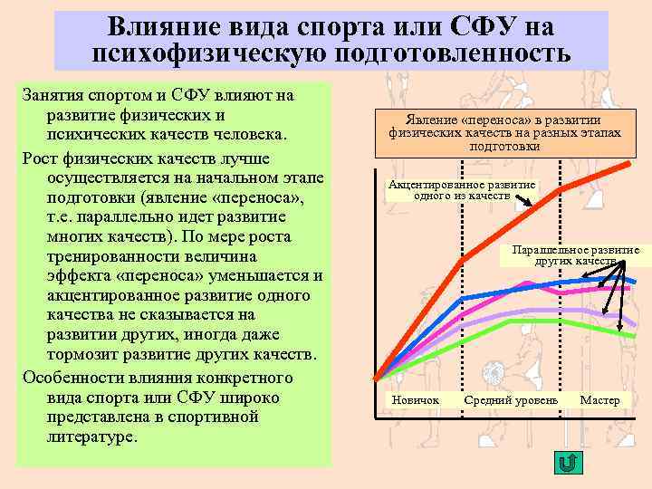 Влияние вида спорта или СФУ на психофизическую подготовленность Занятия спортом и СФУ влияют на