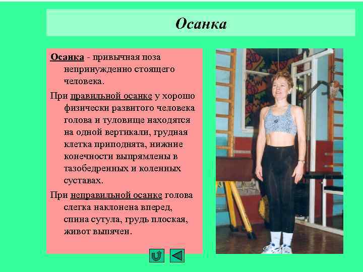 Осанка - привычная поза непринужденно стоящего человека. При правильной осанке у хорошо физически развитого