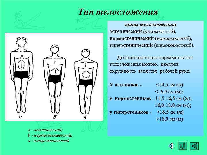 Тип телосложения типы телосложения: астенический (узкокостный), нормостенический (нормокостный), гиперстенический (ширококостный). Достаточно определить тип телосложения