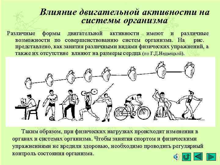 Режимы физической двигательной активности пациента схема