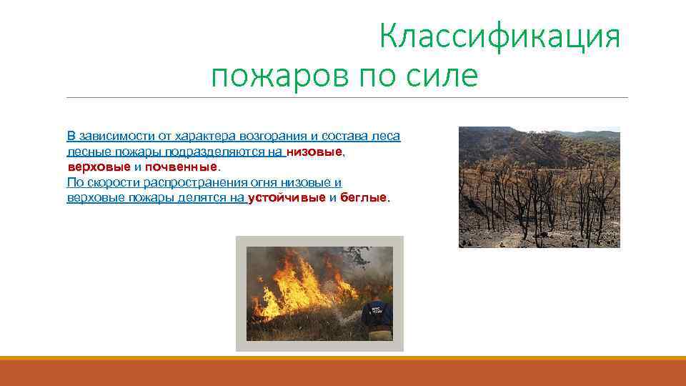  Классификация пожаров по силе В зависимости от характера возгорания и состава лесные пожары