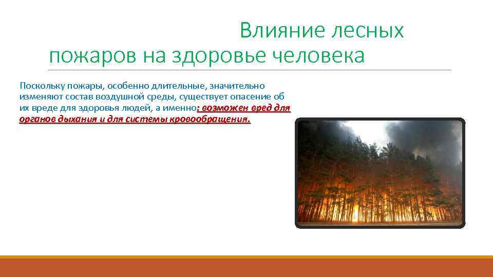  Влияние лесных пожаров на здоровье человека Поскольку пожары, особенно длительные, значительно изменяют состав