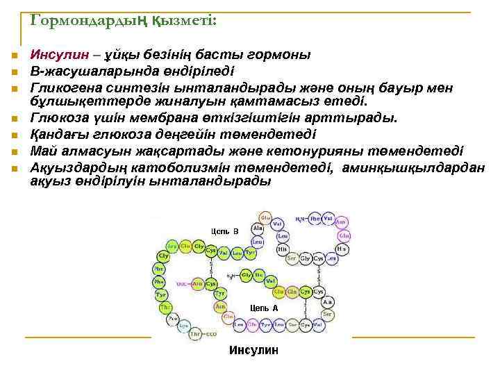 Гормондардың қызметі: n n n n Инсулин – ұйқы безінің басты гормоны В-жасушаларында өндіріледі