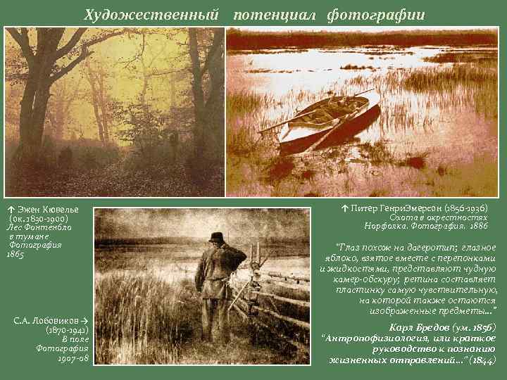 Художественный потенциал фотографии ↑ Эжен Кювелье (ок. 1830 -1900) Лес Фонтенбло в тумане Фотография