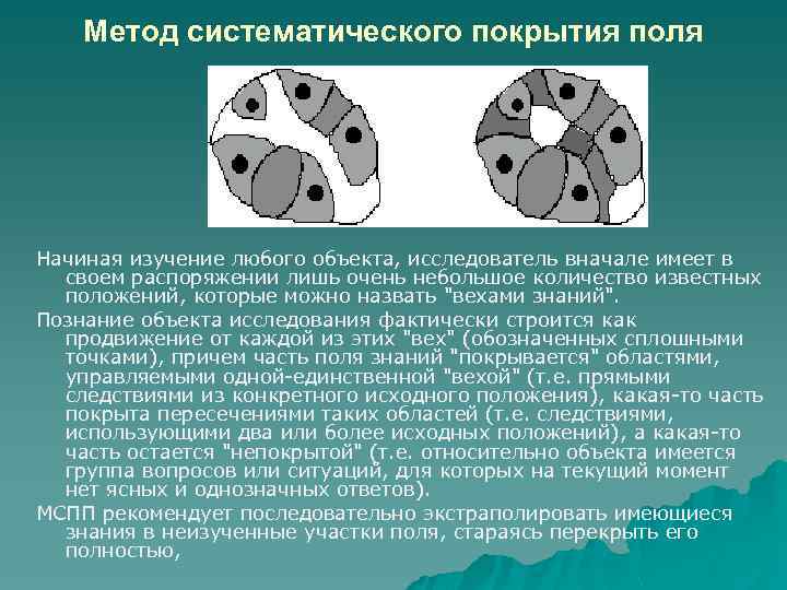 Метод систематического покрытия поля Начиная изучение любого объекта, исследователь вначале имеет в своем распоряжении