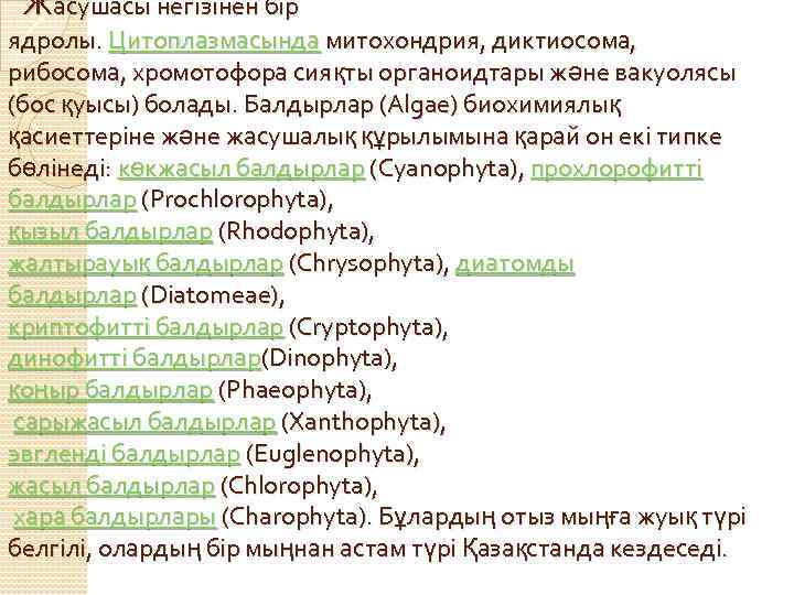 Жасушасы негізінен бір ядролы. Цитоплазмасында митохондрия, диктиосома, рибосома, хромотофора сияқты органоидтары және вакуолясы (бос