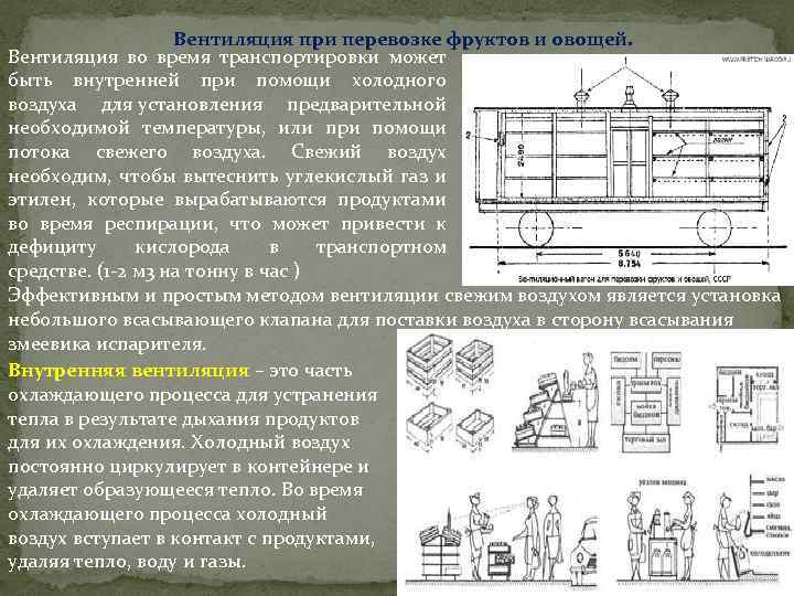 Вентиляция при перевозке фруктов и овощей. Вентиляция во время транспортировки может быть внутренней при
