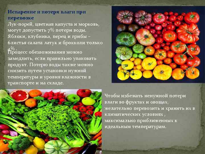 Испарение и потеря влаги при перевозке Лук-порей, цветная капуста и морковь, могут допустить 7%