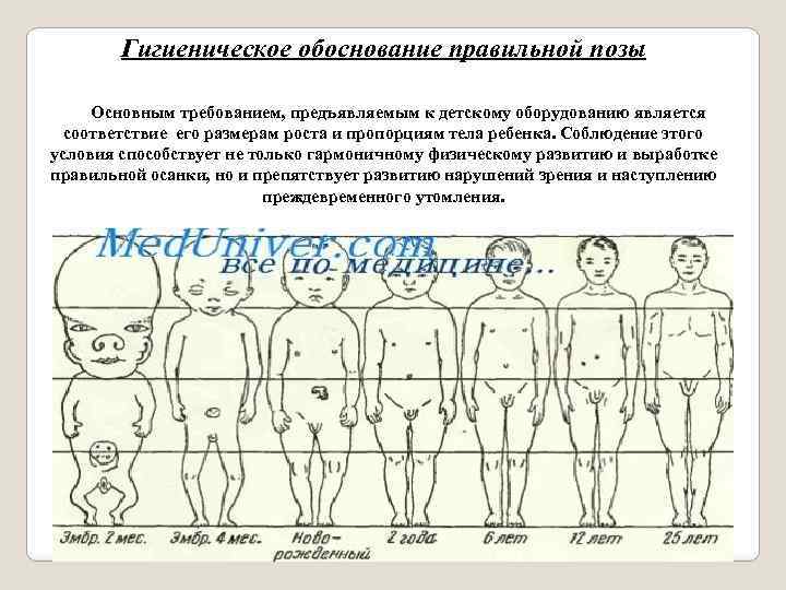 Гигиеническое обоснование правильной позы Основным требованием, предъявляемым к детскому оборудованию является соответствие его размерам