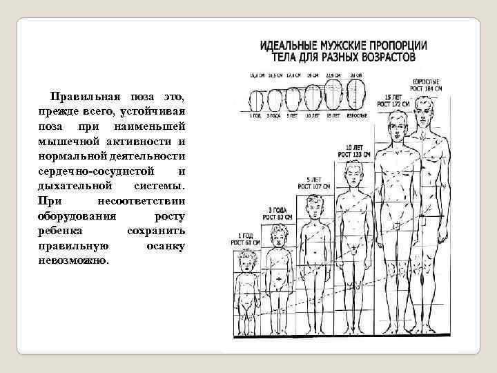 Правильная поза это, прежде всего, устойчивая поза при наименьшей мышечной активности и нормальной деятельности